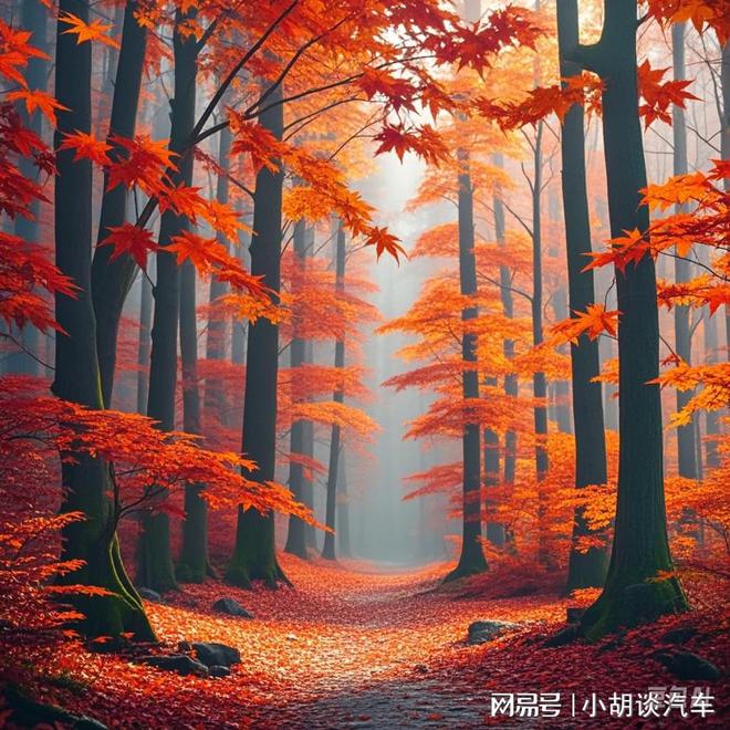 教育声音的立体声与环绕声尊龙凯时·中国网站梨花(图2)
